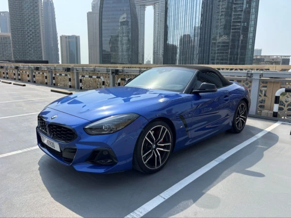 BMW Z4 30I